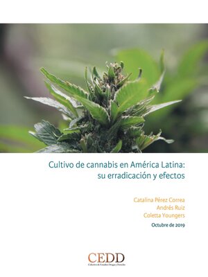 cover image of Cultivo de cannabis en América Latina, su erradicación y efectos